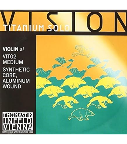 Amazon.com: Thomastik Vision Titanium Solo Violin Strings Set